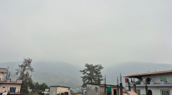 शीतलहर र बाक्लो हुस्सु, जाडोमा तराईको पहिचान नै हो। त्यही पहिचान अर्थात् तराईको जाडोको ‘सिग्नेचर सट’ खोज्दै एक बिहान चितवनको सौरहा पुग्दा देखियो, कुहिरोको घुम्टो ओढेर लुकिरहेको खेतबारी अनि बर्को ओढेर साइकलका पेडल चलाइरहेकी महिला।