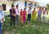 रास्वपा अन्तर्गत तुलसीपुर उपमहानगरपालिकाका विभिन्न वडाहरूमा अधिवेसन आज सम्पन्न